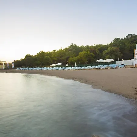 Hotel Modern Saraylar Halal &